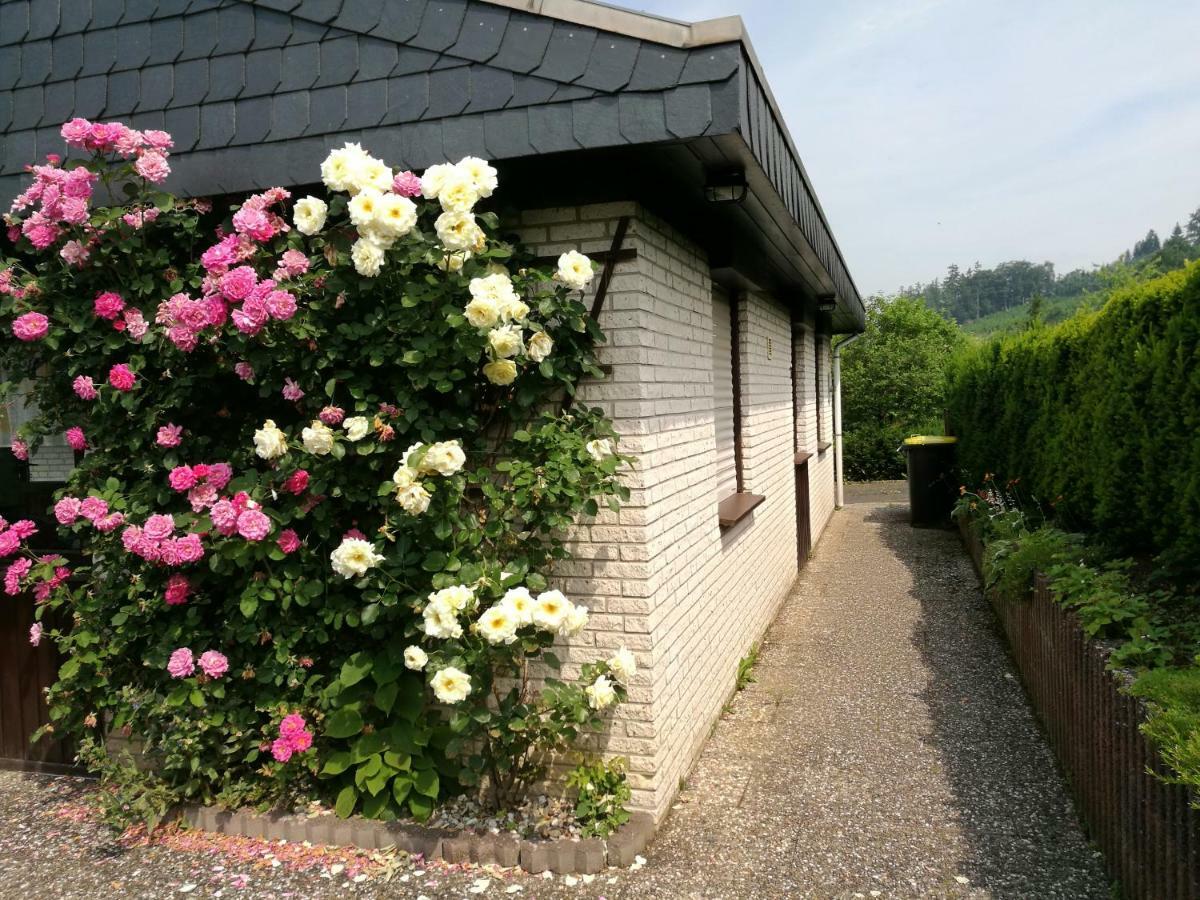 Ferienhaus Bianca Meschede Exterior photo